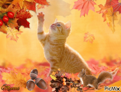 chat automne - GIF animé gratuit