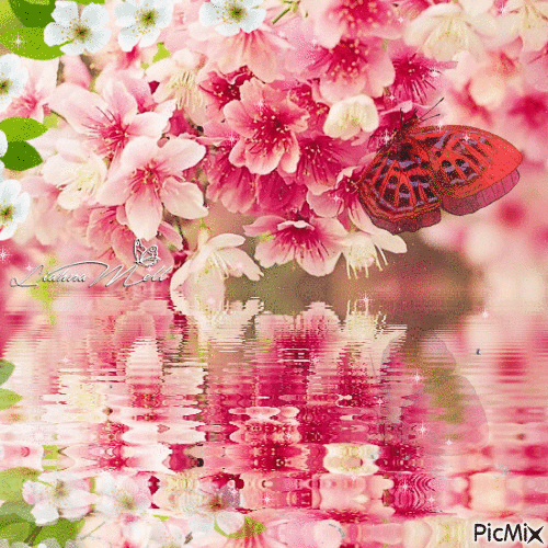 Liahna Mell Butterfly Red - GIF animé gratuit