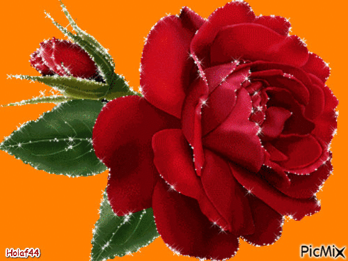 Je vous offre cette rose - GIF animate gratis