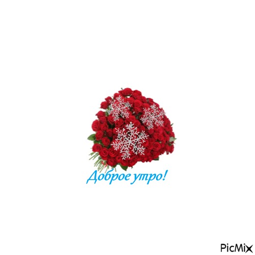 цветы - zadarmo png