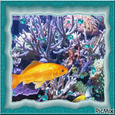 Рыбка - Безплатен анимиран GIF