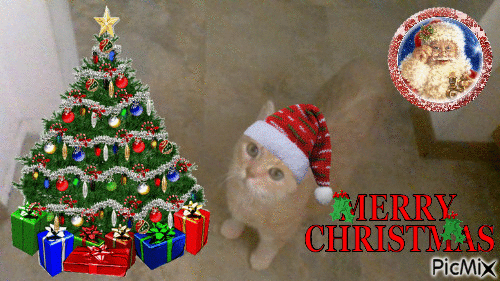 CHRISTMAS SOPHIE ELSA - Безплатен анимиран GIF