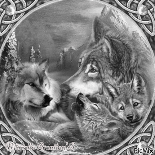 Loups  en  noir  et  blanc - GIF animé gratuit