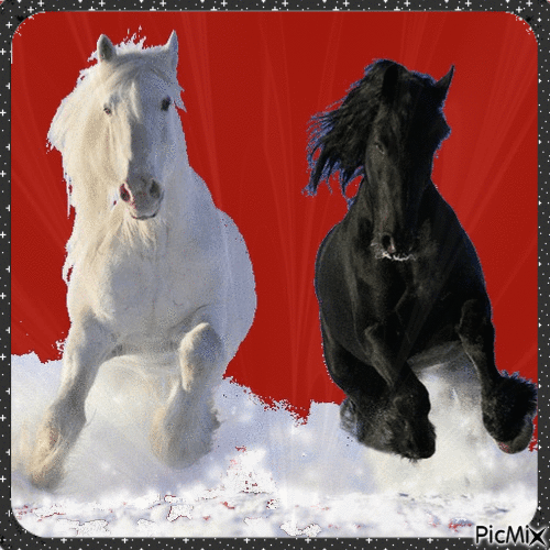 Horses - Black, white and red tones - Free animated GIF