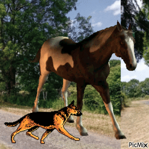 cheval - GIF animado grátis