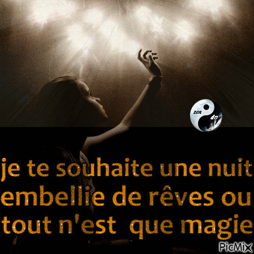 ✦ nuit magique - Darmowy animowany GIF