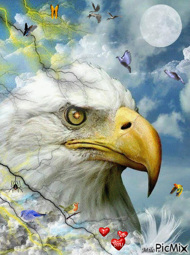 Eagle - GIF animado grátis