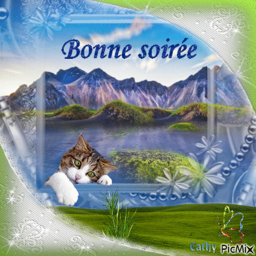 BONNE SOIRÉE - GIF animado grátis