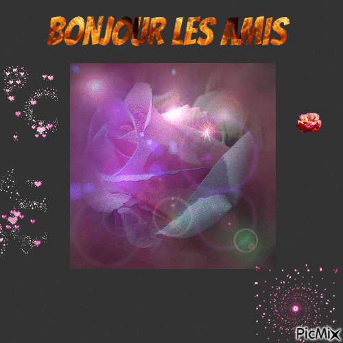 bonjour - Free animated GIF