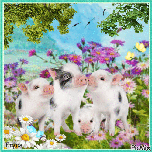 Les petits cochons - GIF animate gratis