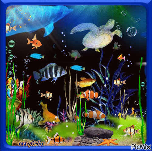 Aquarium - GIF animate gratis