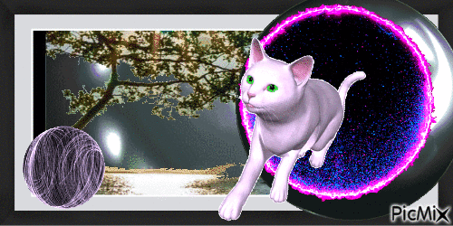 SpaceCat - Free animated GIF