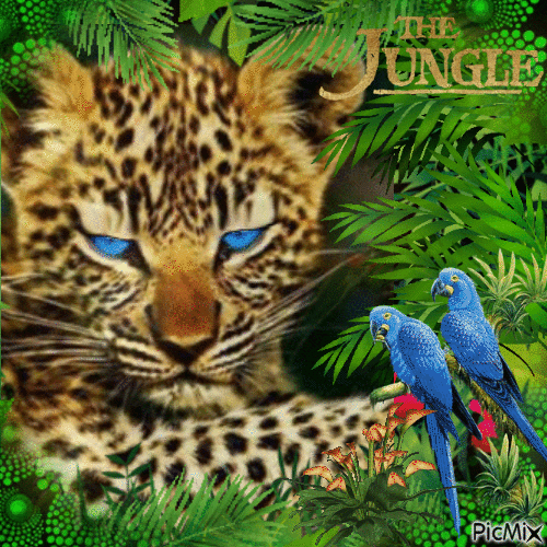 Babypanther im Dschungel - GIF animado gratis