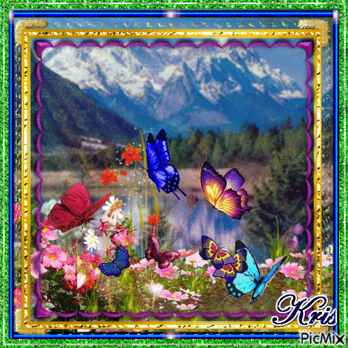 Beautiful frames and butterflies - Nemokamas animacinis gif