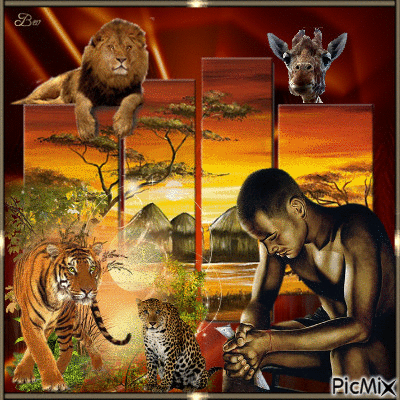 Africa sunset. - Бесплатный анимированный гифка