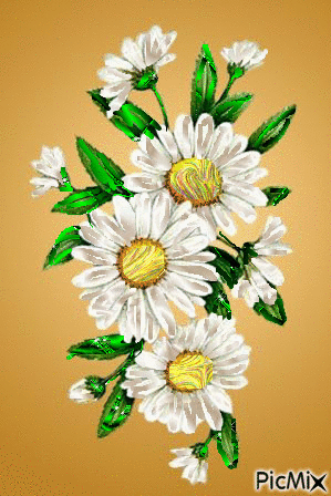kvety - GIF animasi gratis