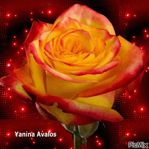 Yanina Avalos - Ingyenes animált GIF