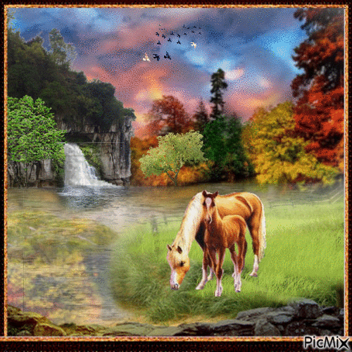 Les chevaux - Free animated GIF