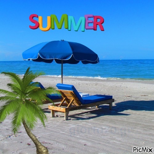 summer - bezmaksas png