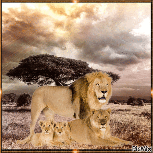 Die Tiere Afrikas - Ilmainen animoitu GIF