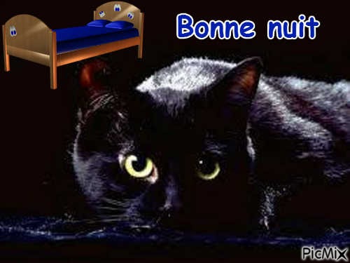 Bonne nuit chat noir et lit - PNG gratuit
