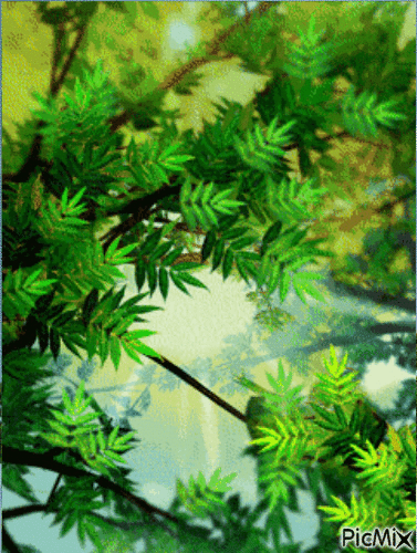 Качающаяся листва. Хвойный лес анимация. Анимация хвойные деревья. Анимация зеленые деревья. Дерево гиф.