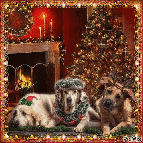 Frohe Weihnachten mit Hund - Free animated GIF