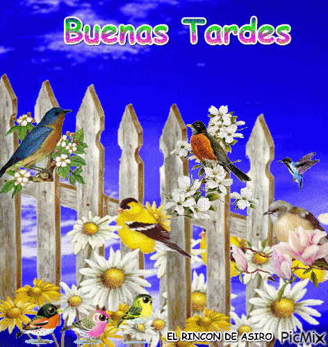 BUENAS TARDES - Zdarma animovaný GIF