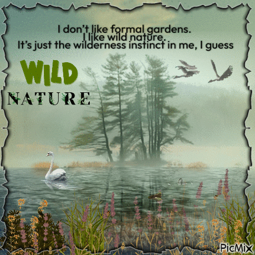 Wild nature - Nemokamas animacinis gif