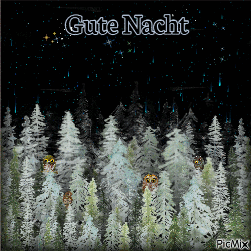 Gute Nacht - GIF animasi gratis
