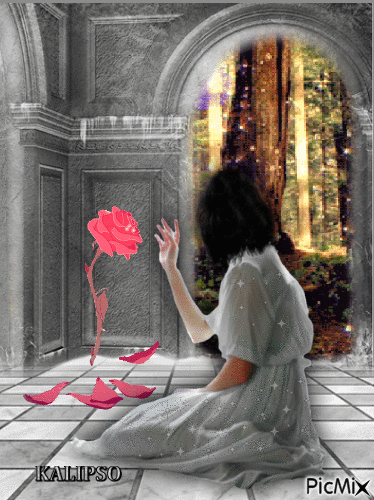 Mysterious rose - Free animated GIF