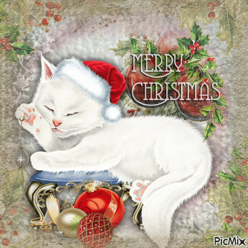 Christmas cat - Бесплатни анимирани ГИФ