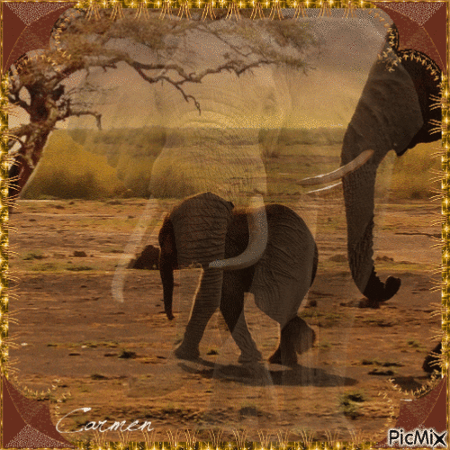 Elephants - GIF animado grátis