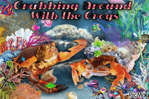 crabbing around with the crogs (crab frogs) - GIF เคลื่อนไหวฟรี