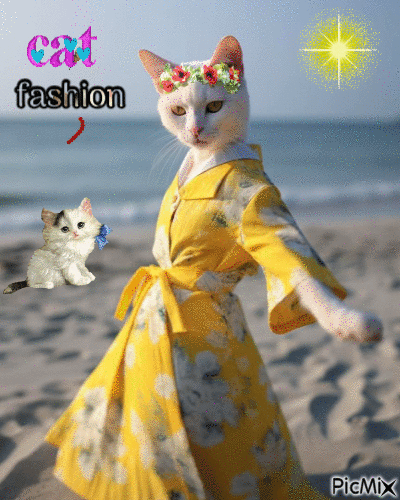 CAT FASHION - Free animated GIF