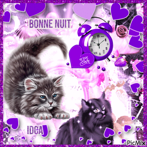 Bonne nuit r les chatons - Free animated GIF