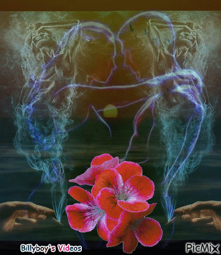 A Rose By Any Other Color - Besplatni animirani GIF