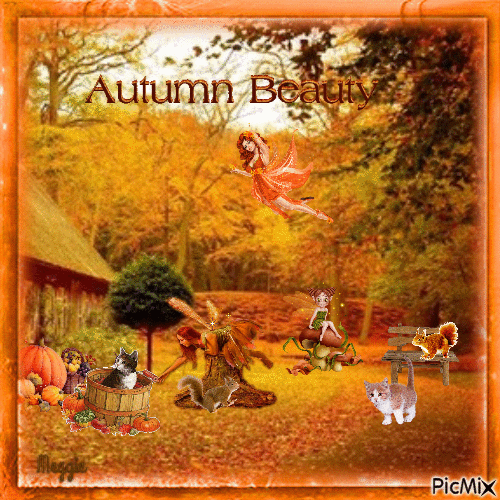 autumn beauty - 無料のアニメーション GIF