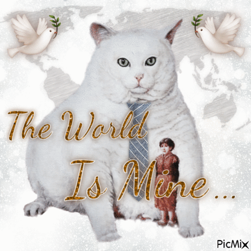 Now cats rule the world... - Ingyenes animált GIF
