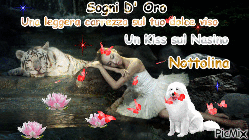Sogni D'Oro - Бесплатный анимированный гифка