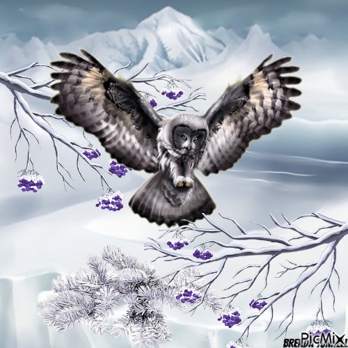 winter owl - PNG gratuit