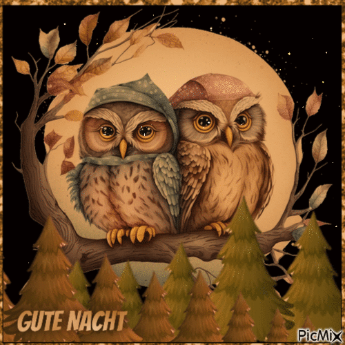 Gute Nacht - GIF animasi gratis