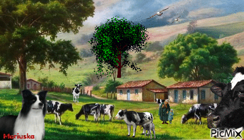 Prado con vacas - GIF เคลื่อนไหวฟรี