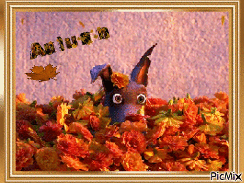 Outono - Zdarma animovaný GIF