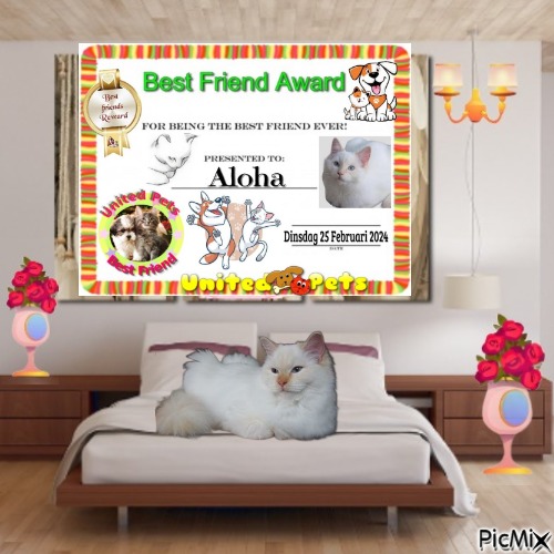 Aloha - gratis png
