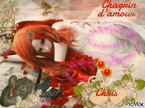 chagrin d'amour - Animovaný GIF zadarmo