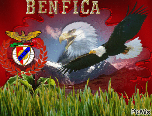 BENFICA 1 - GIF animate gratis
