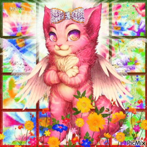 Angel Cat - Безплатен анимиран GIF