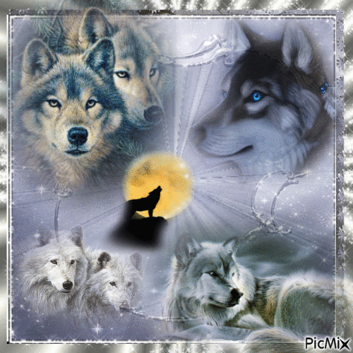 Collage de Loups - GIF animado gratis