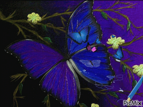 бабочки - 免费动画 GIF